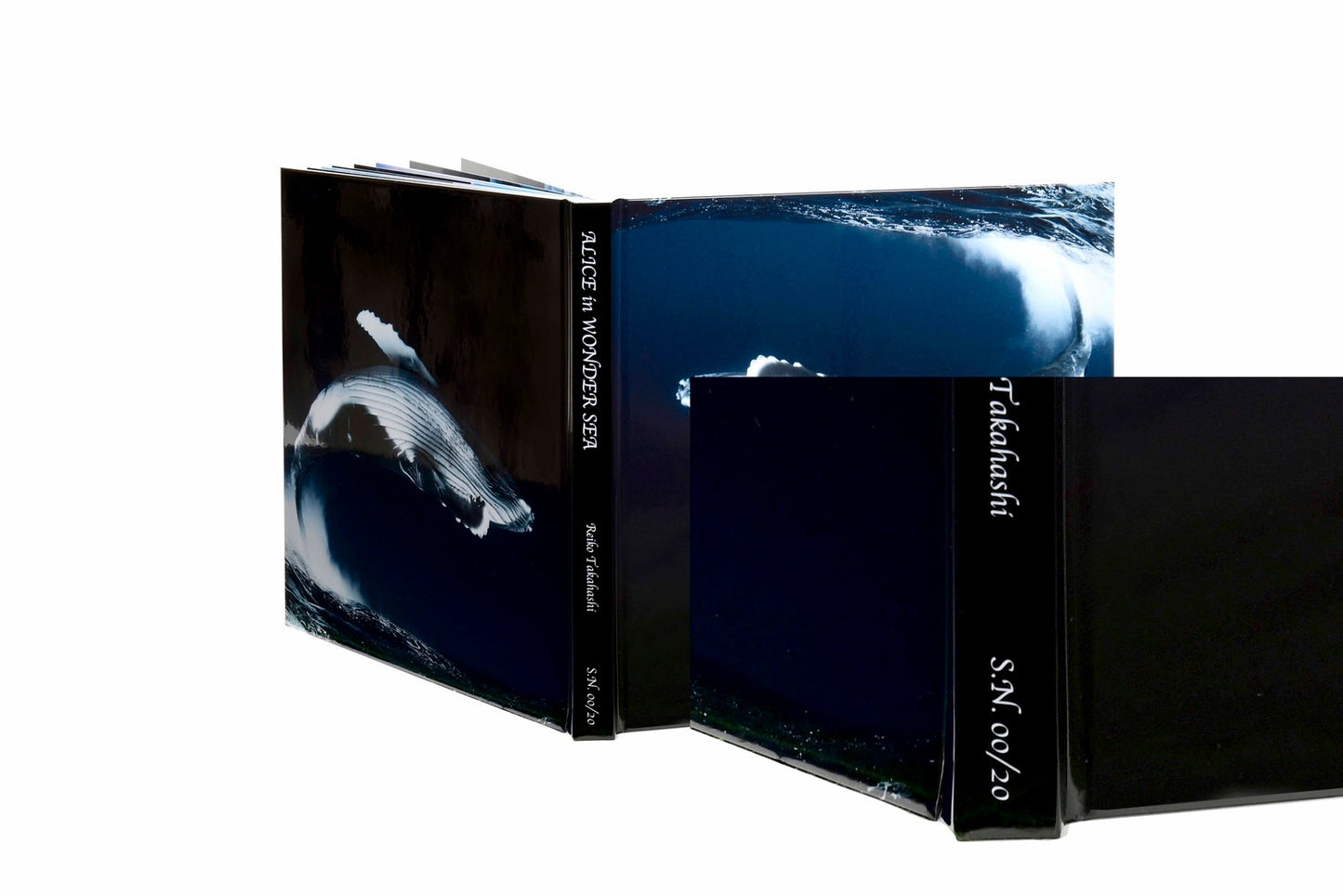 高橋怜子 Reiko Takahashi 大型フォトブック<20 冊限定>