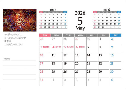 海の絶景 2026年 卓上カレンダー 高橋怜子