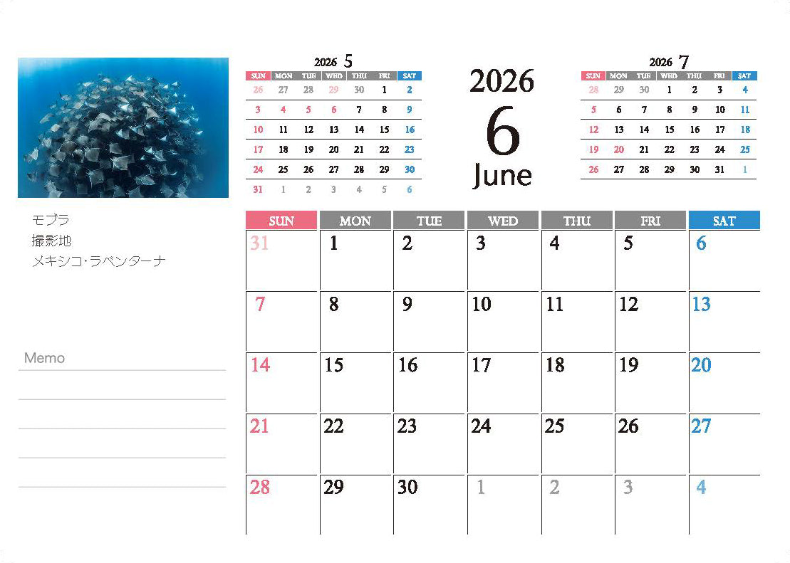 海の絶景 2026年 卓上カレンダー 高橋怜子