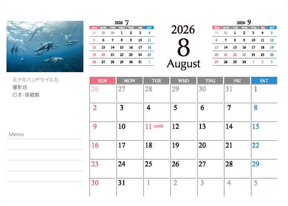 海の絶景 2026年 卓上カレンダー 高橋怜子