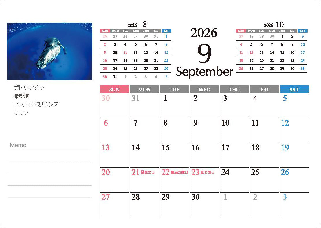 海の絶景 2026年 卓上カレンダー 高橋怜子