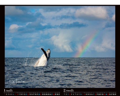 海の絶景 2024年カレンダー 高橋怜子