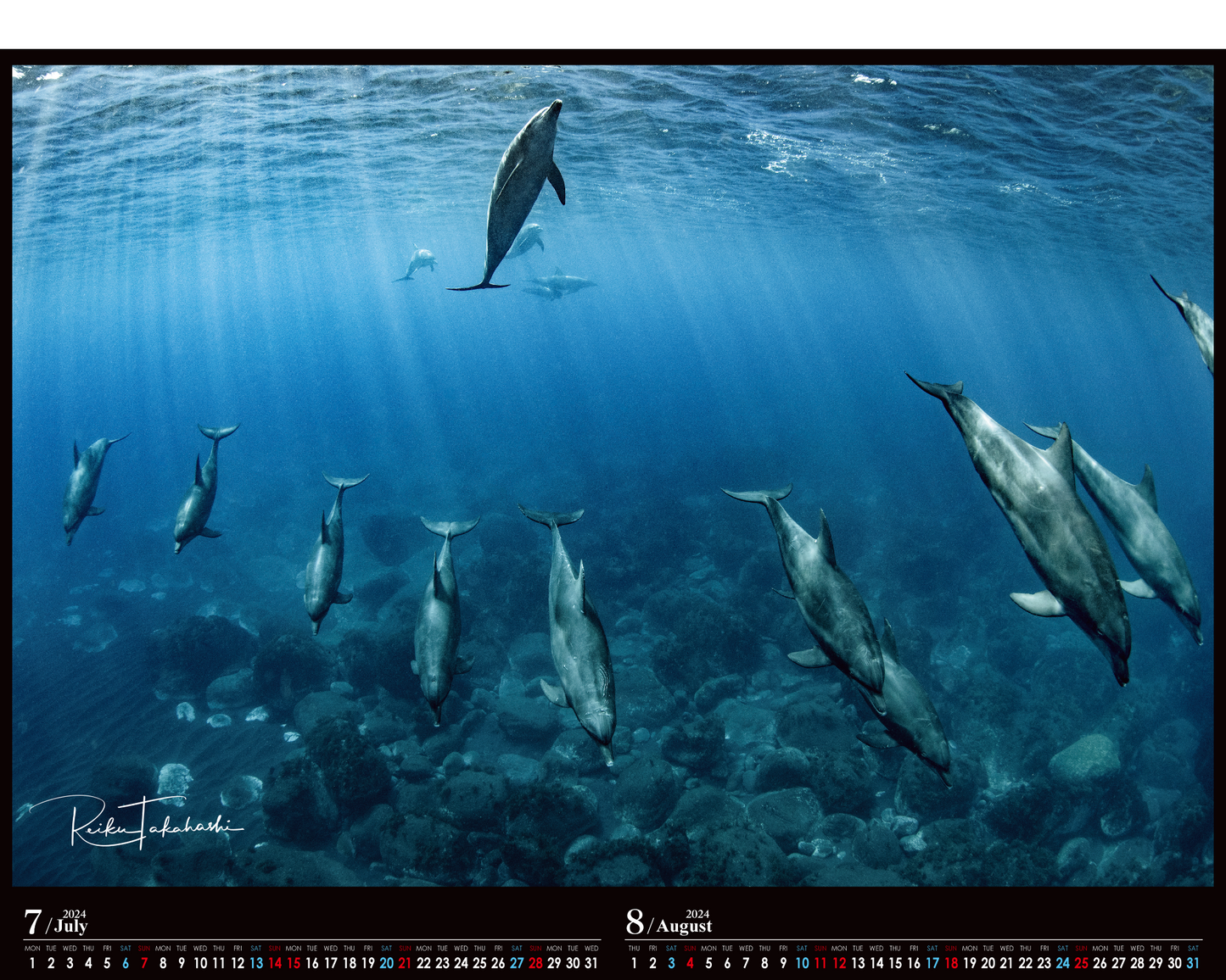 海の絶景 2024年カレンダー 高橋怜子