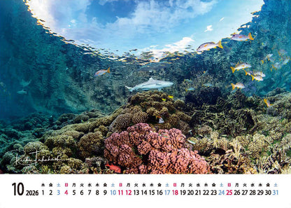 海の絶景 2026年 卓上カレンダー 高橋怜子