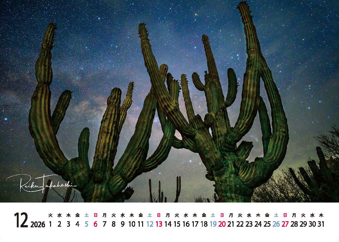 海の絶景 2026年 卓上カレンダー 高橋怜子