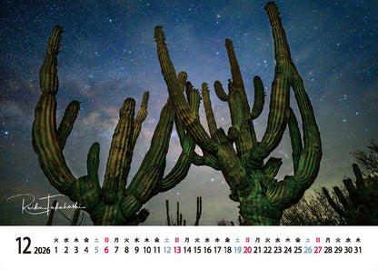 海の絶景 2026年 卓上カレンダー 高橋怜子