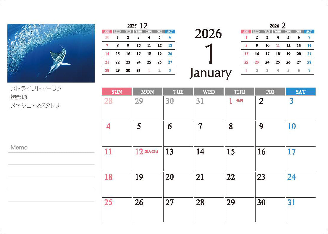 海の絶景 2026年 卓上カレンダー 高橋怜子