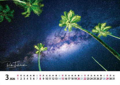 海の絶景 2026年 卓上カレンダー 高橋怜子