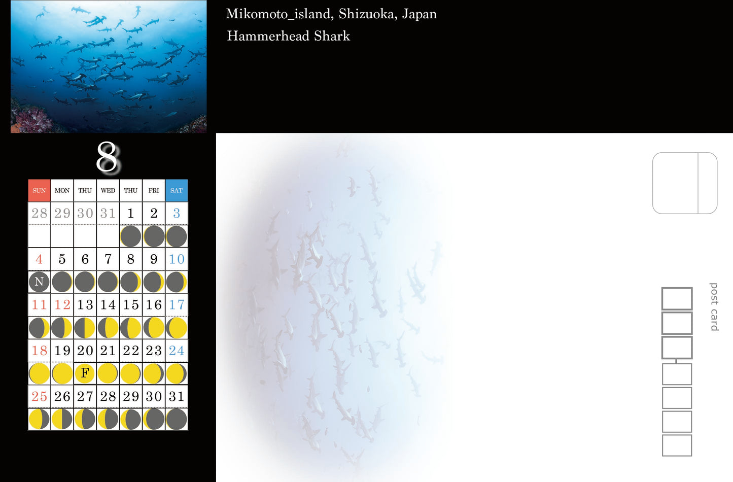 海の絶景 2024年 ハガキにもなる卓上カレンダー 高橋怜子