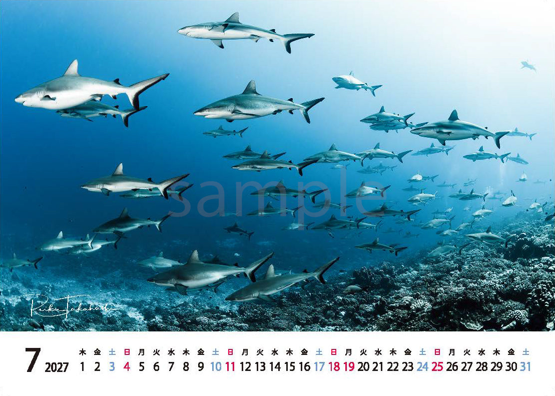海の絶景 2027年 卓上カレンダー 高橋怜子