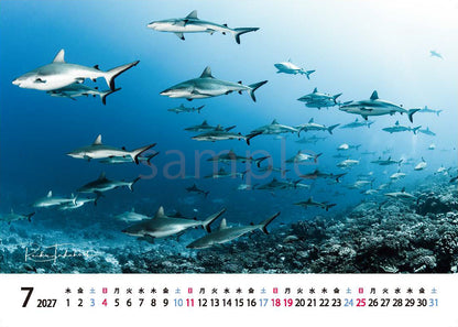 海の絶景 2027年 卓上カレンダー 高橋怜子