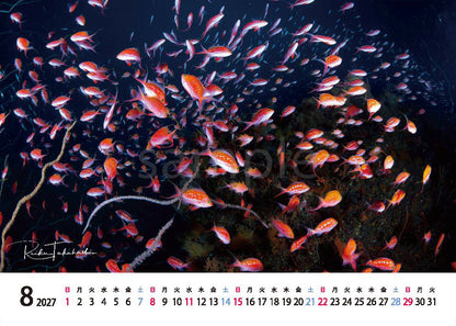 海の絶景 2027年 卓上カレンダー 高橋怜子