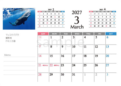 海の絶景 2027年 卓上カレンダー 高橋怜子