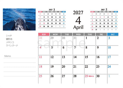 海の絶景 2027年 卓上カレンダー 高橋怜子