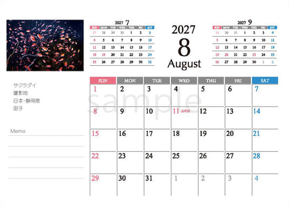 海の絶景 2027年 卓上カレンダー 高橋怜子