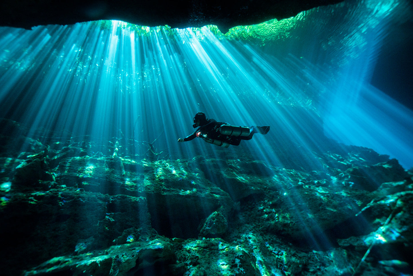 Cenote eden