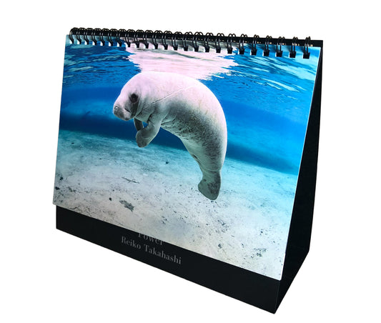 海の絶景 2026年 卓上カレンダー 高橋怜子