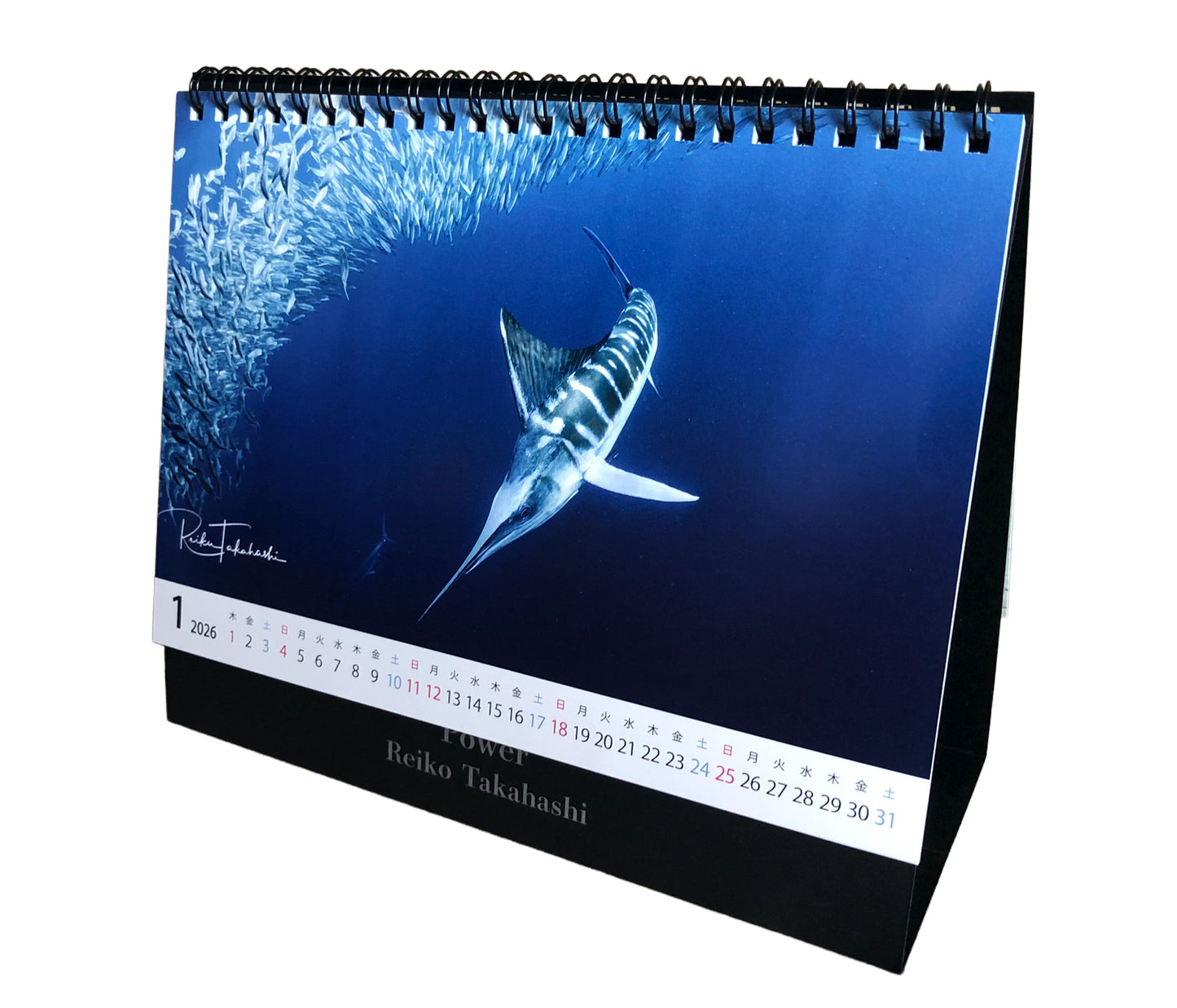 海の絶景 2026年 卓上カレンダー 高橋怜子