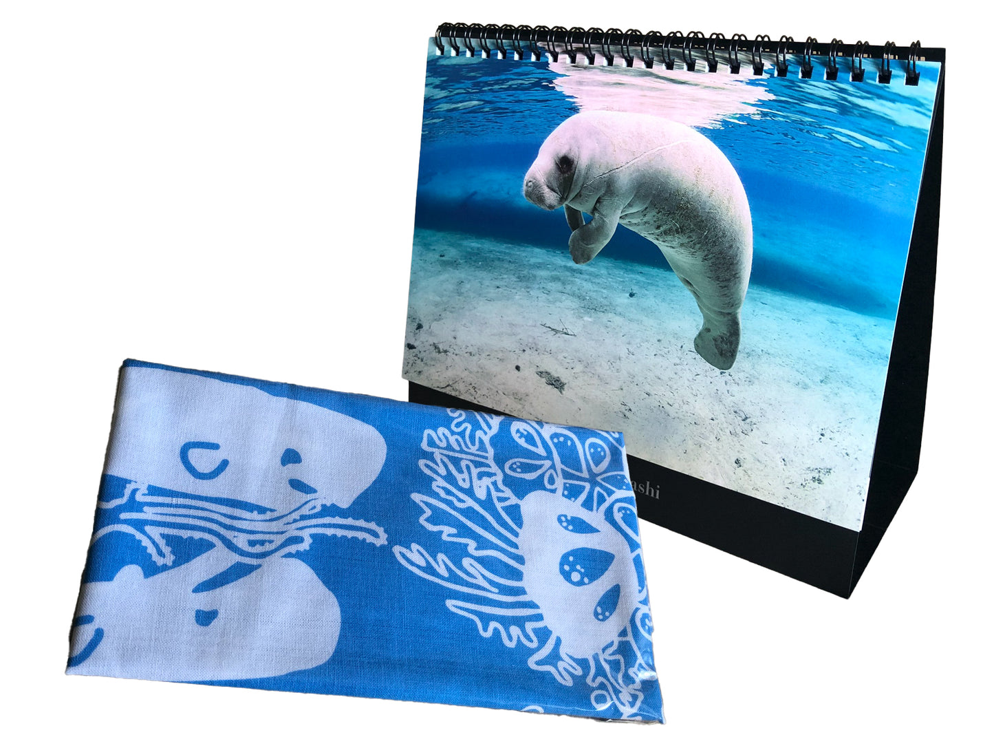 年内限定　海の絶景 2026年 卓上カレンダーと手拭い(濃い水色)セット