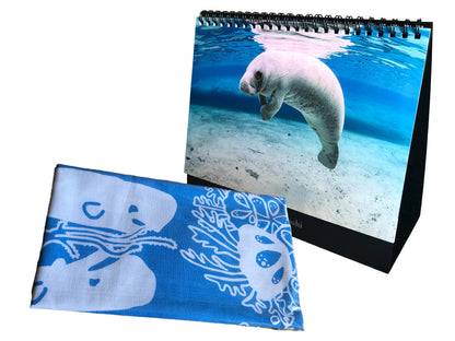 年内限定　海の絶景 2026年 卓上カレンダーと手拭い(濃い水色)セット