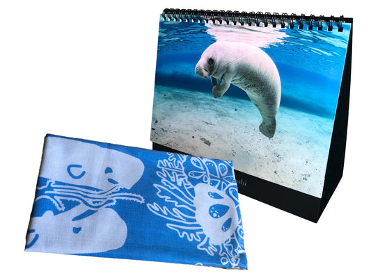 年内限定　海の絶景 2026年 卓上カレンダーと手拭い(濃い水色)セット