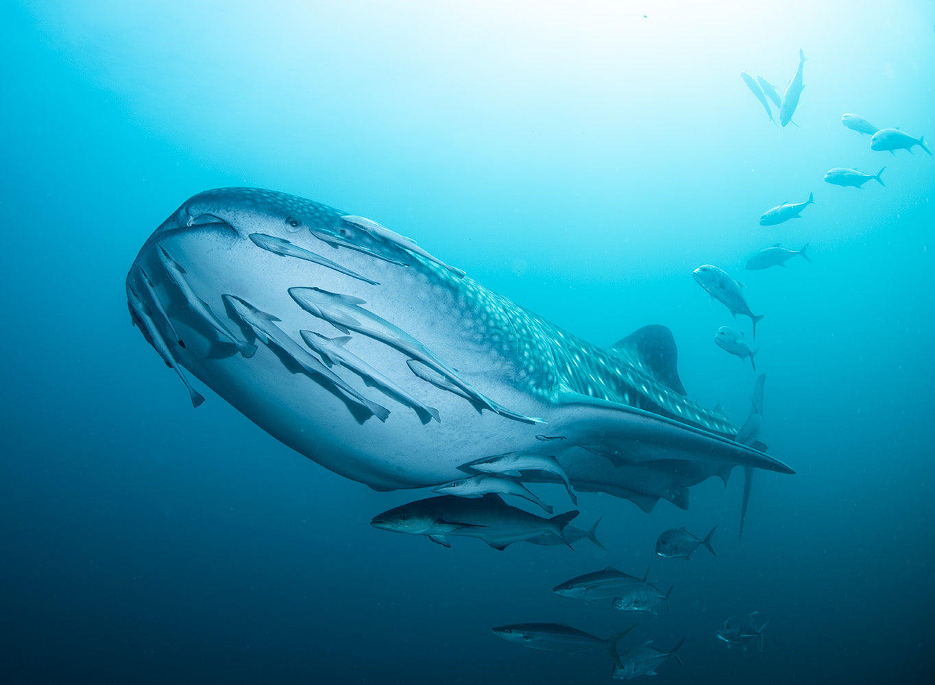Underwater UFO